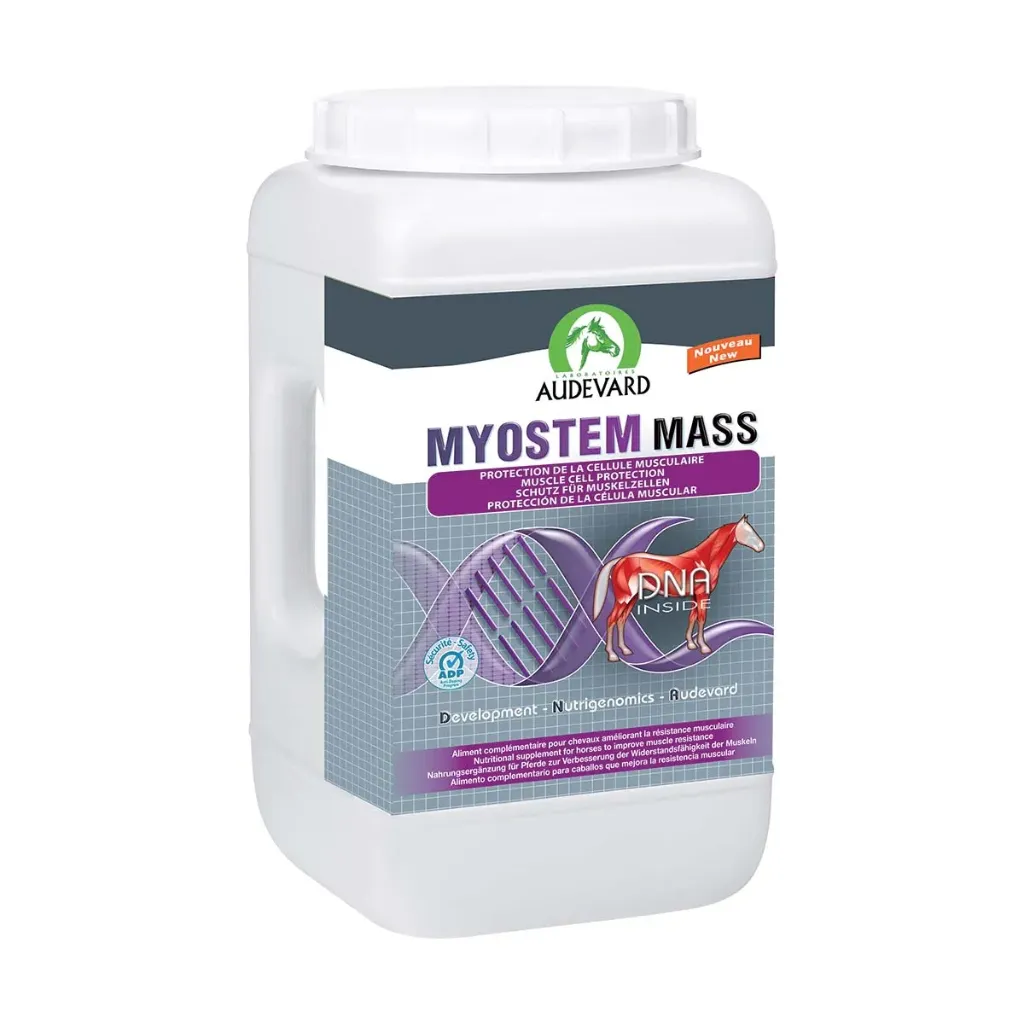 MYOSTEM Mass Développement musculaire cheval de sport, âgé & poulain en croissance - Boîte de 2,1kg