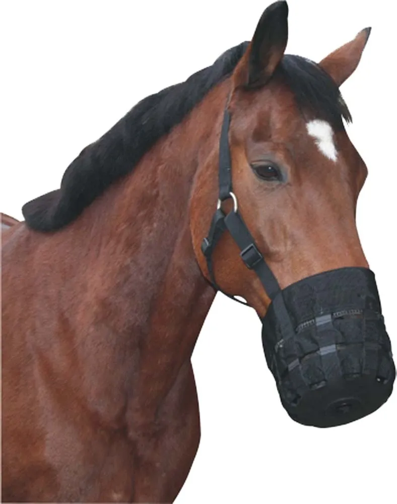 MUSELIERE EN NYLON POUR CHEVAUX / cheval de selle - unité