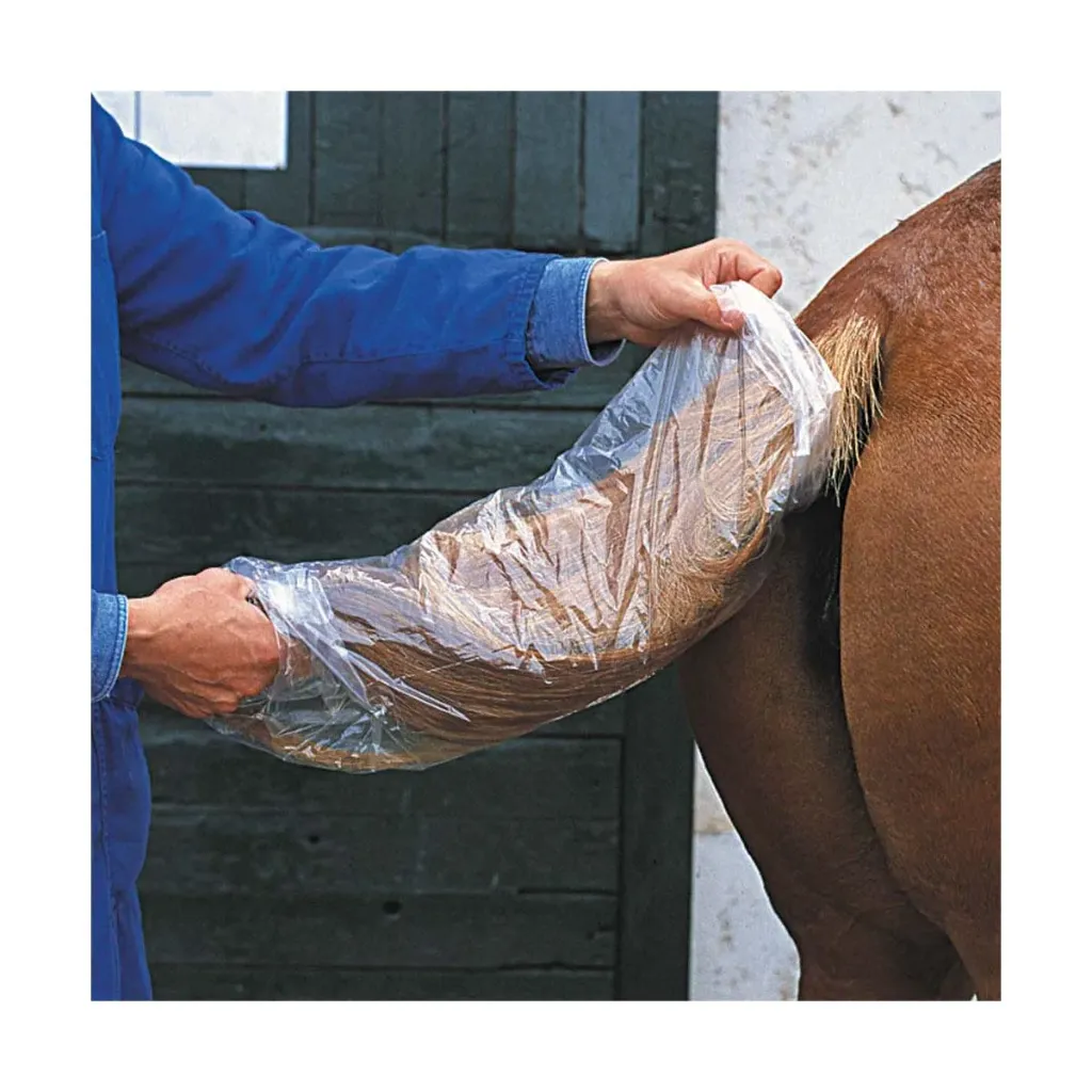 PROTEGE QUEUE POUR CHEVAUX - boîte de 25