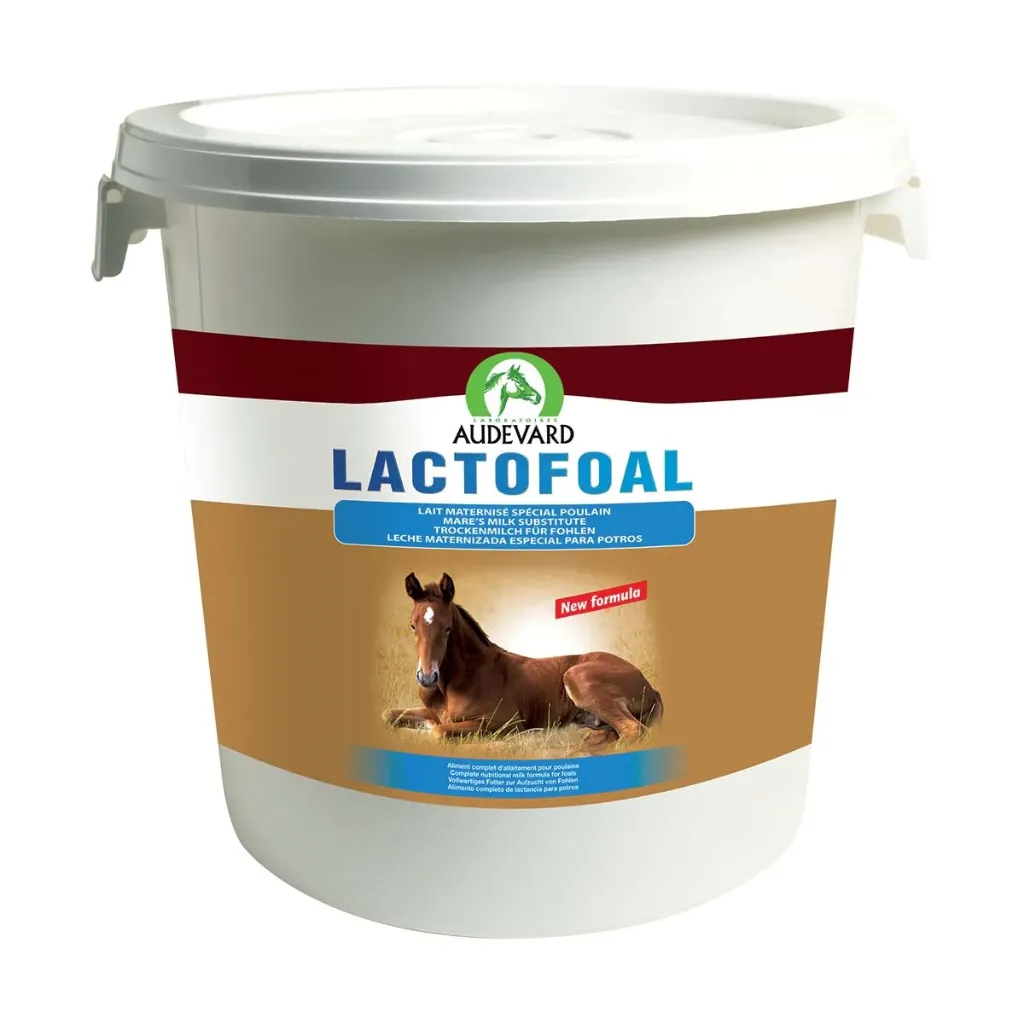 LACTOFOAL – Lait maternisé pour poulain – Fût de 14 kg