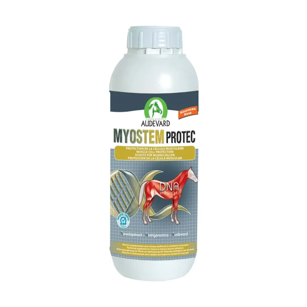 MYOSTEM PROTEC – Soutien à la résistance musculaire – Flacon de 900 ml