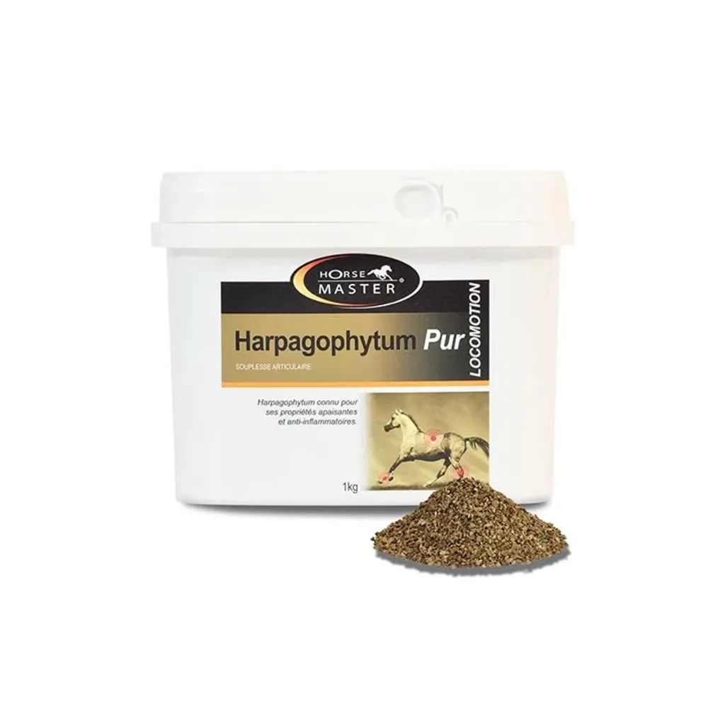 Harpagophytum – Poudre de racine – 1 kg